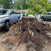 Photos by Franky's Excavation LLC #1