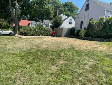 Photos by American Pride Tree Experts & Landscaping Inc #37