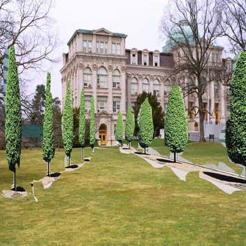 Proposal for NY Botanic Garden Landscape enhancement to historic Botanic Garden building