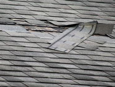 Photos by New View Roofing #1