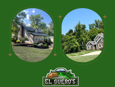Photos by El Guero's Landscaping LLC #5