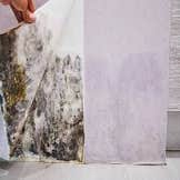 Photos by the Professional Touch #1 The Professional Touch provides expert mold remediation and mold removal services in Iowa Falls, IA. Our...
