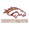 A1 Northgate Construction logo