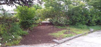 Photos from That Yard Guy