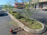 Photos by Don Cele Landscaping #1