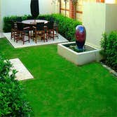 manicured lawn