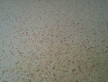 Photo(s) from All Purpose Epoxy Coating