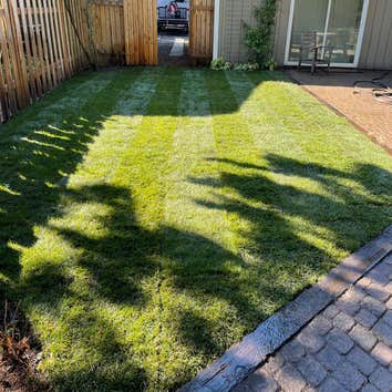 Photos by Magical Forest General Contractor & Landscaping LLC #1