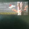 Nelsons Painting & Design logo