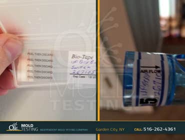 O2MoldTesting_MoldTestingServices