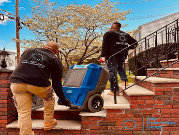 Photos by Elite Restoration Group #1 water damage restoration