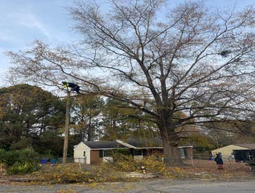 Flores Tree Services General & Landscaping