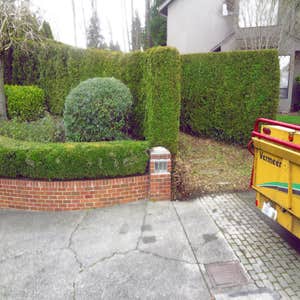 Photo(s) from Dominant Tree Service LLC