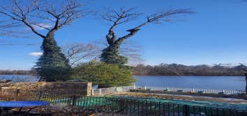 Photos by Green Point Tree Services & Landscaping #4
