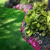 Photos by Enriquez Landscaping & Maintenance, Inc #1