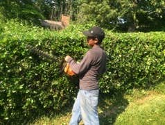 Photos by Don Cele Landscaping #1