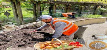 Gachina Landscape Management