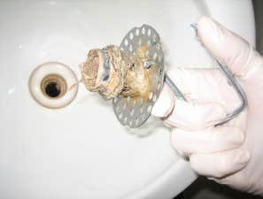 Photos by Southern Plumbing Specialist Inc #1