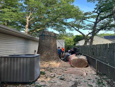 Photos by Beauty Meister Landscaping LLC #2