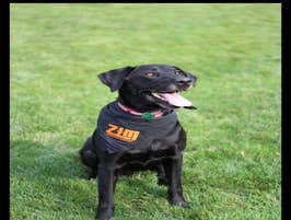 Photos by Zim Heating & Cooling #1