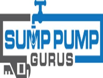 Photos by Sump Pump Gurus | New City #1