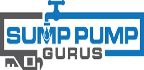 Photos by Sump Pump Gurus | New City #1