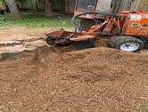 Photos by Contreras Tree Services #1