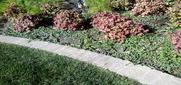 Border Pavers