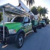 Photos by Tree Trimming Service #1