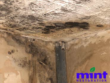 Photos by Mint Restoration #1
