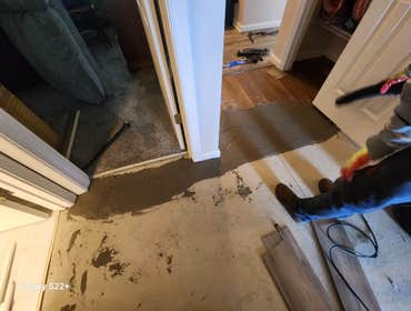 Photos by D&A Flooring Painting LLC #119