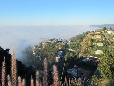 VIEWSITE