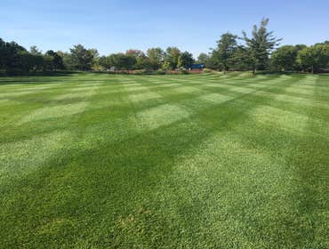 BGM Photos - Landscape maintenance Take your lawn to the next level