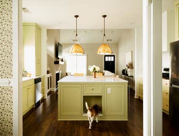 Mint Kitchen