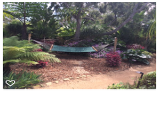 Photos by Foothill Nursery & Landscape Inc #1