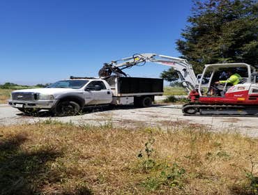 Photos by Rodriguez Tree Service #1