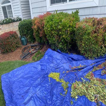 Photos by Hernandez Landscaping #1