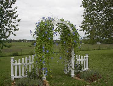 Photo(s) from W Bar Y Fence Inc