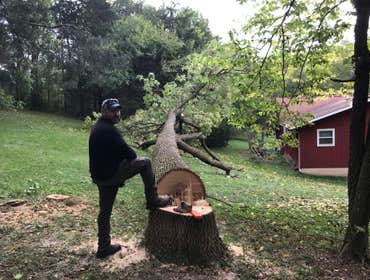 Photos by Hyperion Construction Inc #7 Felling and removing a large ash that was leaning towards the house.