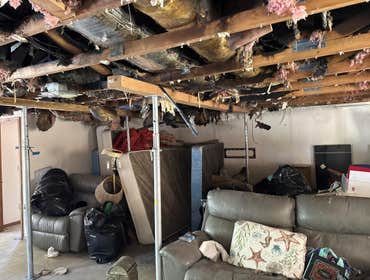 Photos by Diamondback Disaster Services #1