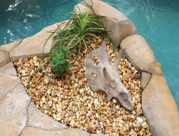 Photo(s) from Dixie Pools & Spas, Inc.