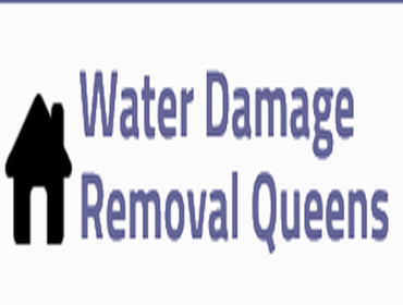 Photos by Black Mold Removal Queens #1