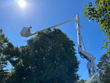 Photos by Cambria Pines Tree Service Inc #5