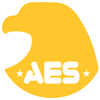 Allied Emergency Services Inc logo