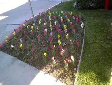Photo(s) from All Green Maintenance