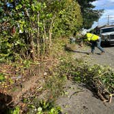 Photos by Blossom Landscaping & Handyman Service #3
