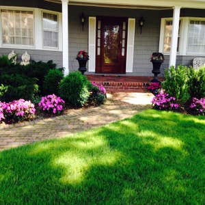 Photos from Donnas Garden Creations