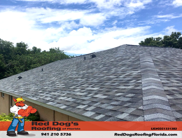 Photos by Red dog's Roofing of Florida #1