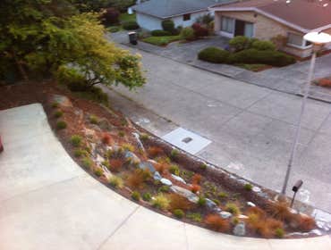 Alki
