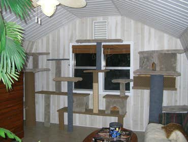 Photo(s) from Handy Ron-Handyman Services
